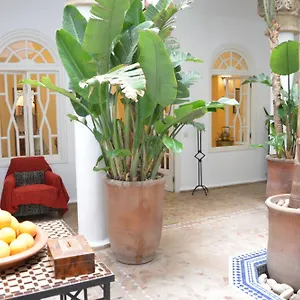 Dar Loulema Riad Esauira